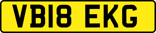 VB18EKG
