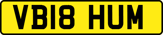 VB18HUM