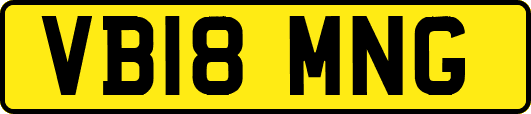 VB18MNG