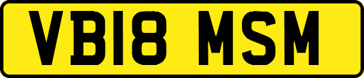 VB18MSM