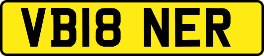 VB18NER