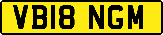 VB18NGM