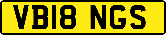VB18NGS