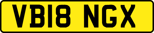 VB18NGX