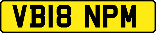 VB18NPM