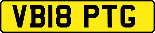 VB18PTG