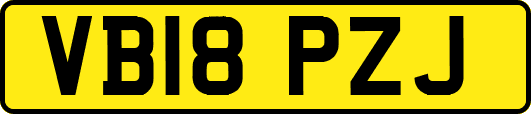 VB18PZJ