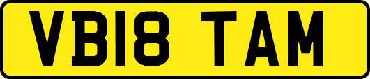 VB18TAM