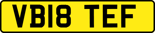 VB18TEF