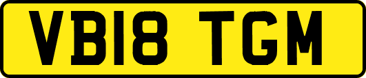 VB18TGM