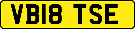 VB18TSE