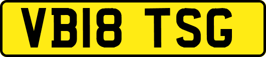 VB18TSG