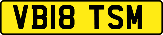 VB18TSM