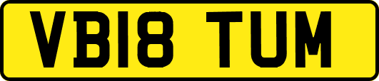 VB18TUM