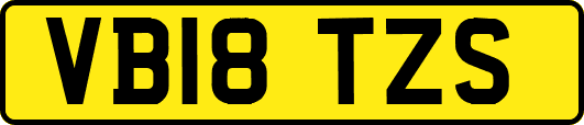VB18TZS