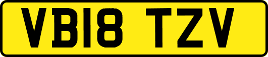 VB18TZV