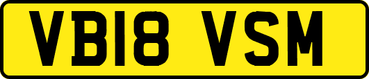 VB18VSM