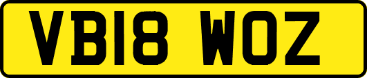 VB18WOZ