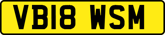 VB18WSM