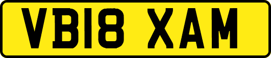 VB18XAM