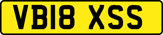 VB18XSS