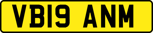 VB19ANM