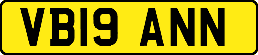 VB19ANN