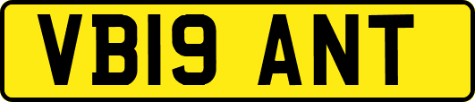 VB19ANT
