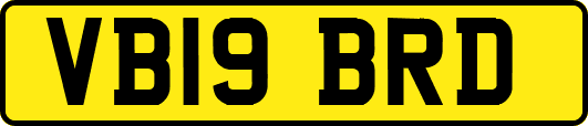 VB19BRD