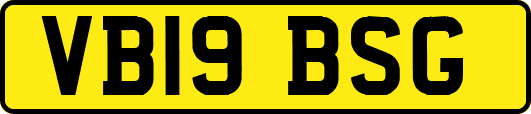 VB19BSG