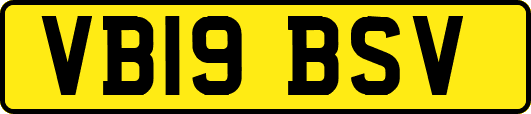 VB19BSV