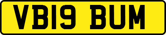 VB19BUM