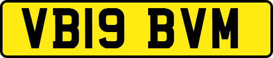 VB19BVM