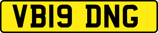 VB19DNG