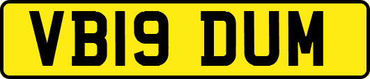 VB19DUM