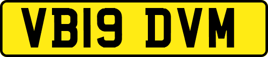VB19DVM