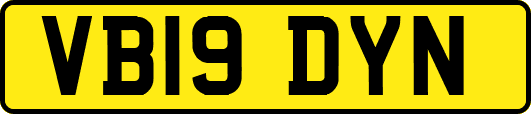 VB19DYN