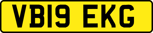 VB19EKG