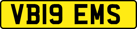 VB19EMS