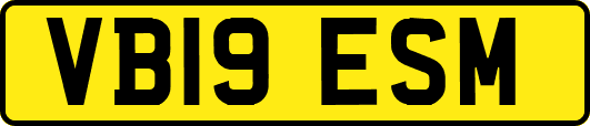 VB19ESM