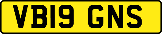 VB19GNS