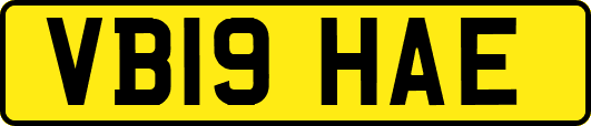 VB19HAE