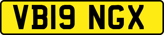 VB19NGX