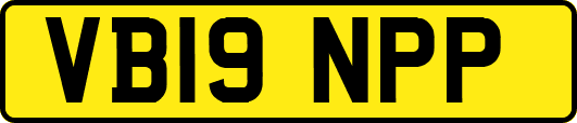 VB19NPP