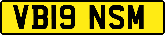 VB19NSM