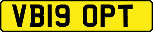 VB19OPT
