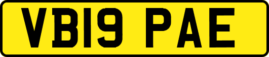 VB19PAE