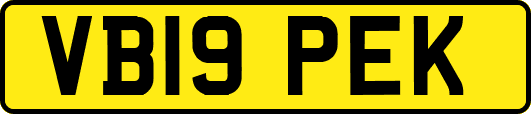 VB19PEK