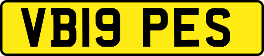 VB19PES