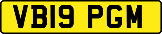 VB19PGM